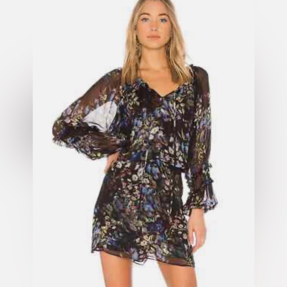 Parker silk dress XS Nicole